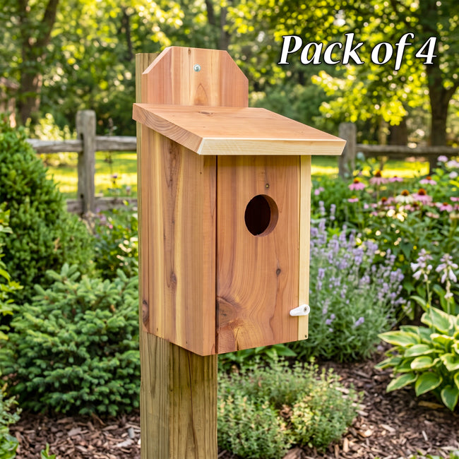 Mounted Blue Bird House, Cedar, Case of 4