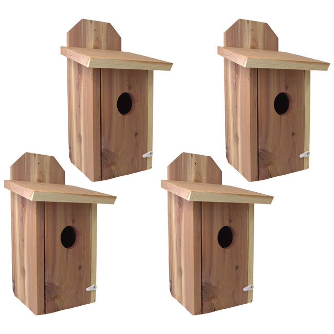 Mounted Blue Bird House, Cedar, Case of 4