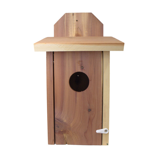 Mounted Blue Bird House, Cedar, Case of 4