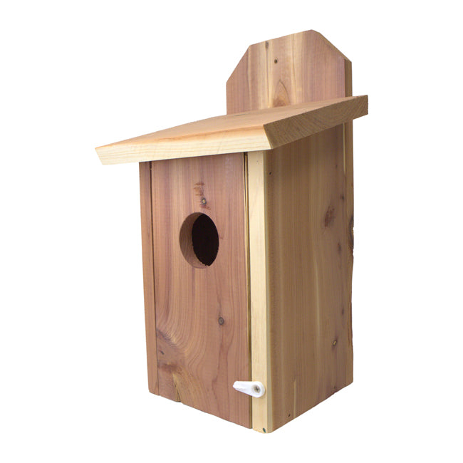 Mounted Blue Bird House, Cedar, Case of 4