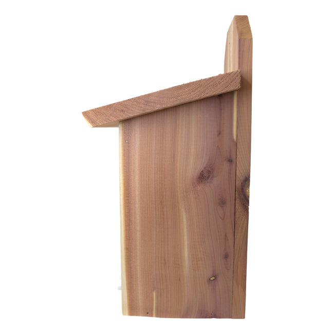 Mounted Blue Bird House, Cedar, Case of 4