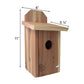 Mounted Blue Bird House, Cedar, Case of 4