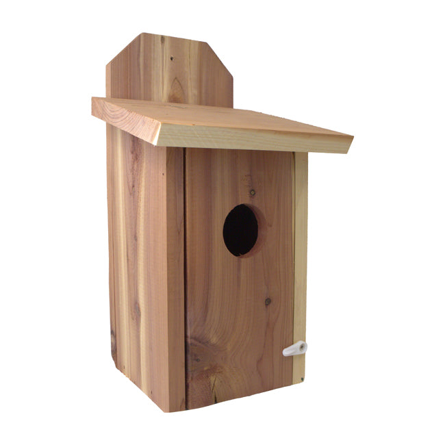 Mounted Blue Bird House, Cedar, Case of 4