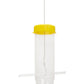 S&K Tornado Clear Collapsible Finch Feeder & Thistle Seed