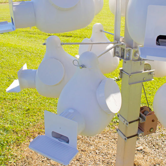 Troyer's Conley II Vertical Gourd with Guard, Pack of 12