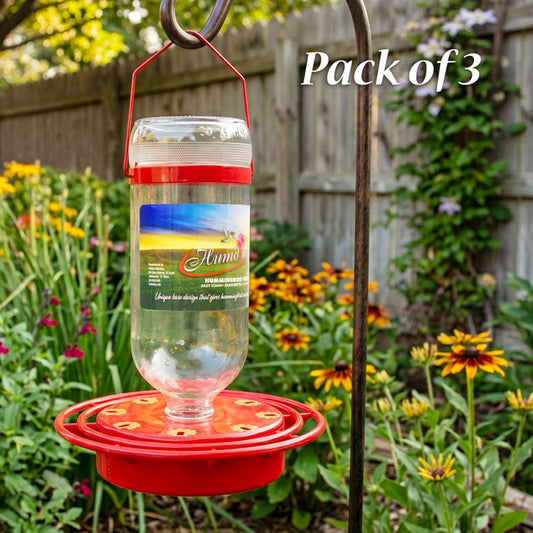Turbine Glass Hummingbird Feeders, 16 oz. Pack of 3