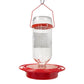 Turbine Glass Hummingbird Feeders, 16 oz., Pack of 2