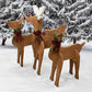 Amish-Made Wooden Deer Statues Package