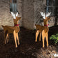 Amish-Made Wooden Reindeer Statues, Pack of 2