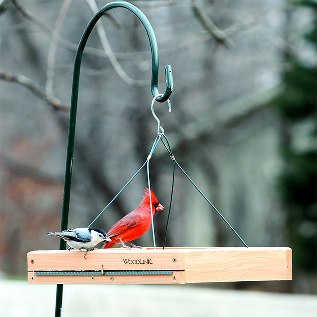 Dove Feeding Package with Tray Feeder and Safflower Seed