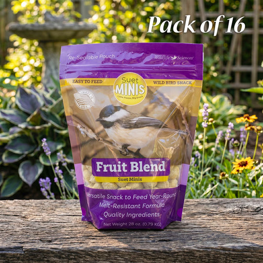 Wildlife Sciences Fruit Blend Suet Minis, Pack of 16