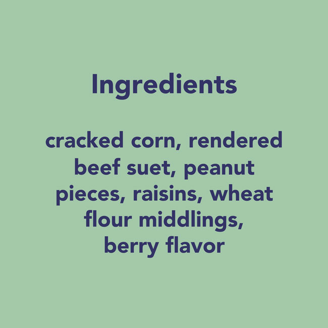 Wildlife Sciences Fruit Blend Suet Minis, Pack of 16