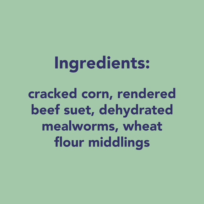 Wildlife Sciences Insect Blend Suet Minis, Pack of 16