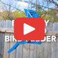 Blue Jay Shaped Bird Feeder by Prime Retreat
