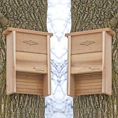 Audubon Cedar Bat Shelters, Pack of 2, 40 bats