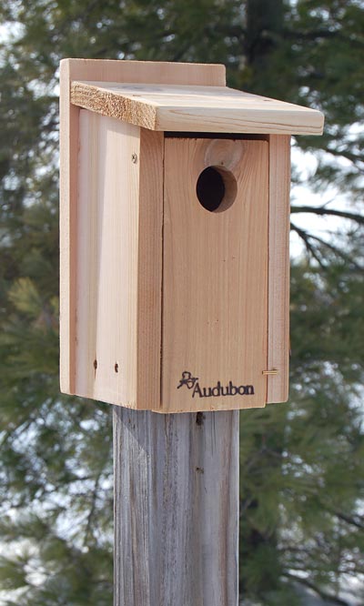 Audubon Cedar Bluebird House with Pole and Hole Protector