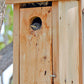 Audubon Cedar Bluebird House with Pole and Hole Protector