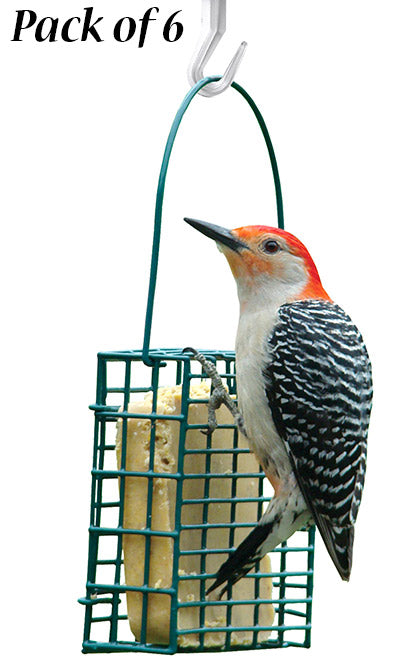 Audubon Single Suet Cake Feeders, Pack of 6