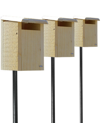 Coveside Sparrow-Resistant Bluebird Houses w/Poles Package