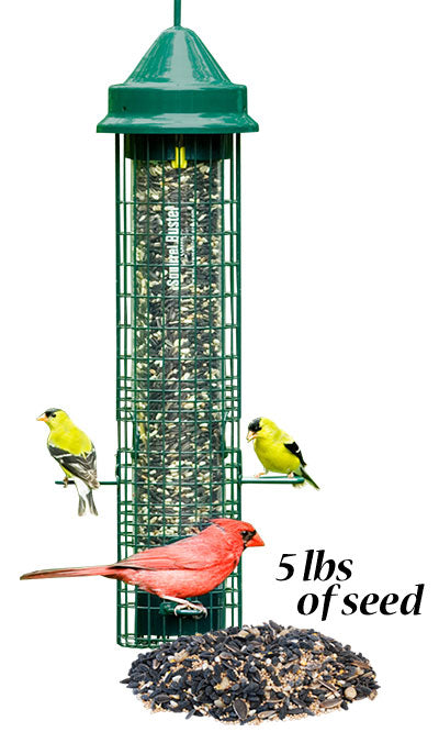 Squirrel Buster Classic Bird Feeder with Divine Blend Seed