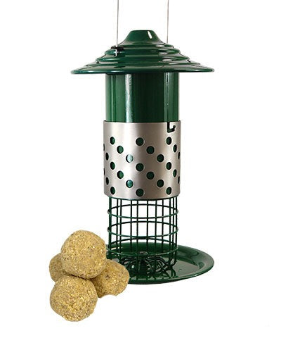 Mealworm & Peanut Combo Feeder w/Insects & Nuts Suet Balls
