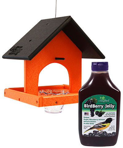 Recycled Plastic Single Oriole Feeder with Jelly
