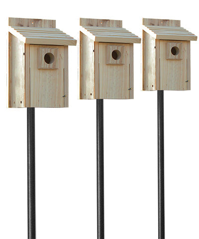 Stokes Bluebird House Package with Deluxe Poles