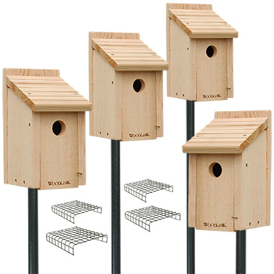 Woodlink Bluebird House Package with Poles