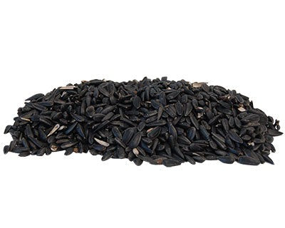 Black Oil Sunflower Seed, 5 lbs.