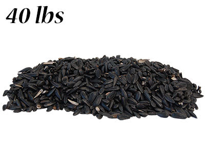 Black Oil Sunflower Seed, 40 lbs.