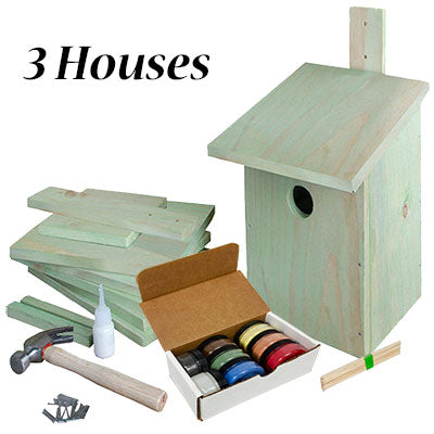 Esschert "Build It Yourself" Bird House Kits w/Milk Paint