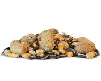 Critter Snack Seed Mix