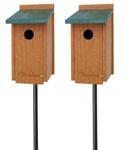 Audubon Premium Bluebird House Package with Poles