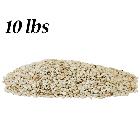 Safflower Seed, 10 lbs.