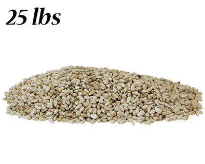 Safflower Seed