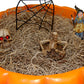 BestNest Spooky Halloween Fairy Garden Package
