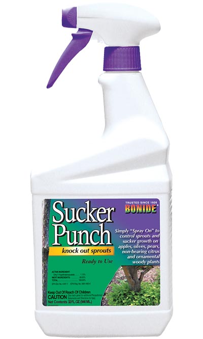 Bonide Sucker Punch, RTU, 32 oz., Pack of 2