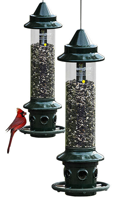 Brome Squirrel Buster Plus Squirrel Proof Bird Feeders, 2 Pk