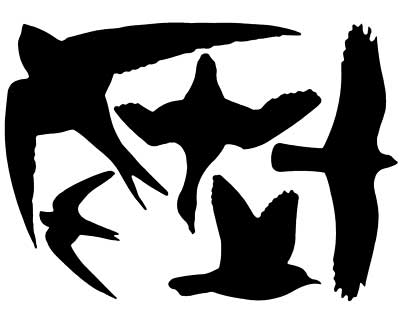 Esschert Design Bird Strike Black Warning Decals, Pack of 6