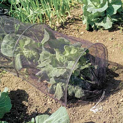 Gardman Netting Grow Tunnels, 20"W x 120"L, Pack of 8