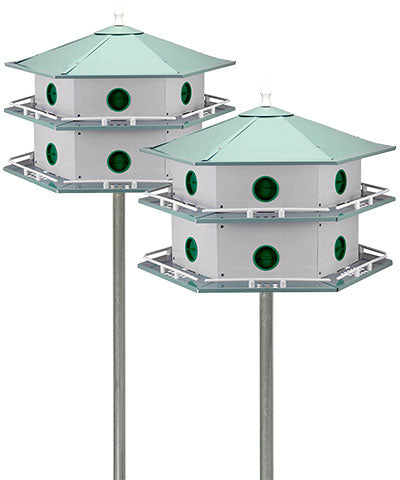 Heath Double Martin Houses and Poles Package