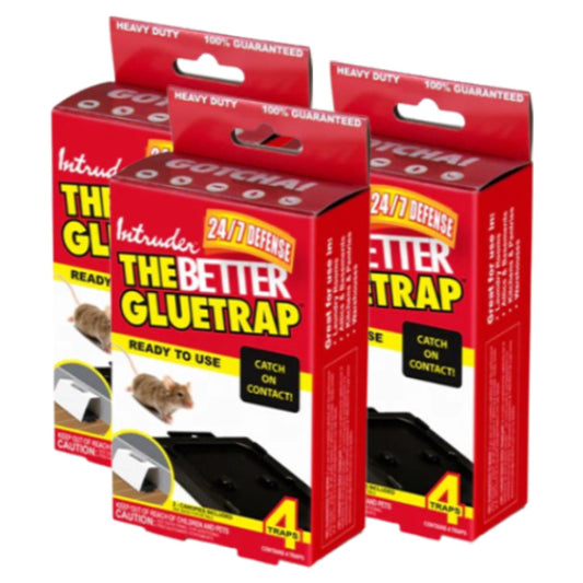 Intruder The Better Gluetrap™ with Canopy, Pack of 12 Traps