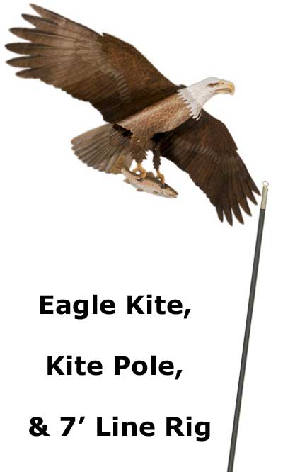Jackite Bald Eagle Kite & Fiberglass Telescoping Pole