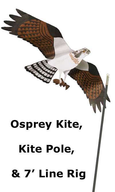 Jackite Osprey Kite & Fiberglass Telescoping Pole Kit