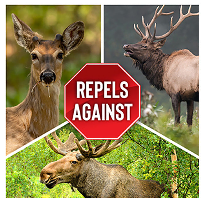 Messinas Deer Stopper Deer Repellent w/Trigger, 2 Pack