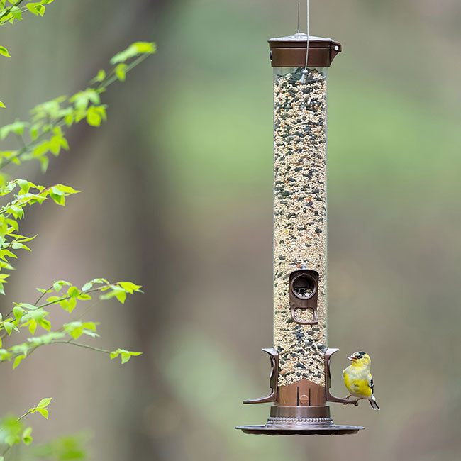 More Birds SureFill Metal Seed Tube Bird Feeders, Pack of 2
