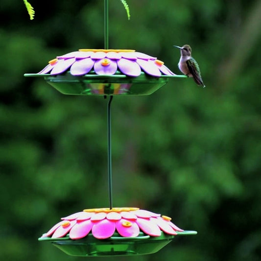Nature's Way So Real Hummingbird Saucers, Purple, 2 Pack