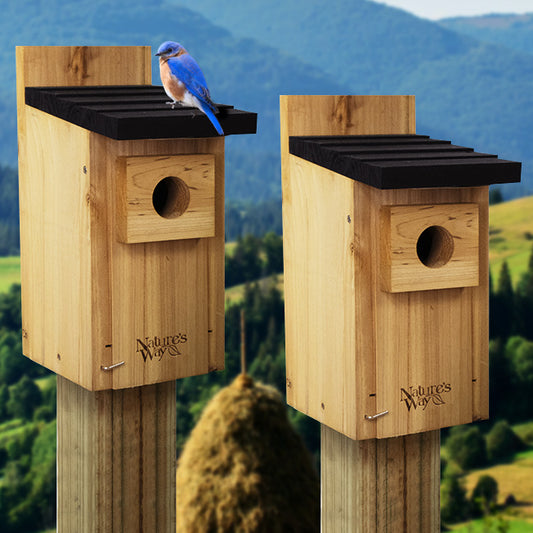 Nature's Way Cedar Traditional Bluebird Houses, Pack of 2