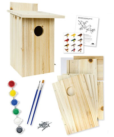 Nature's Way My First Bird House DIY Kits, Club Pack of 8