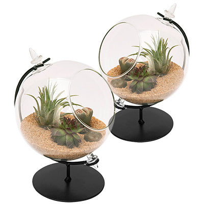 Panacea Desktop Glass Terrariums w/Metal Stands, Pack of 2